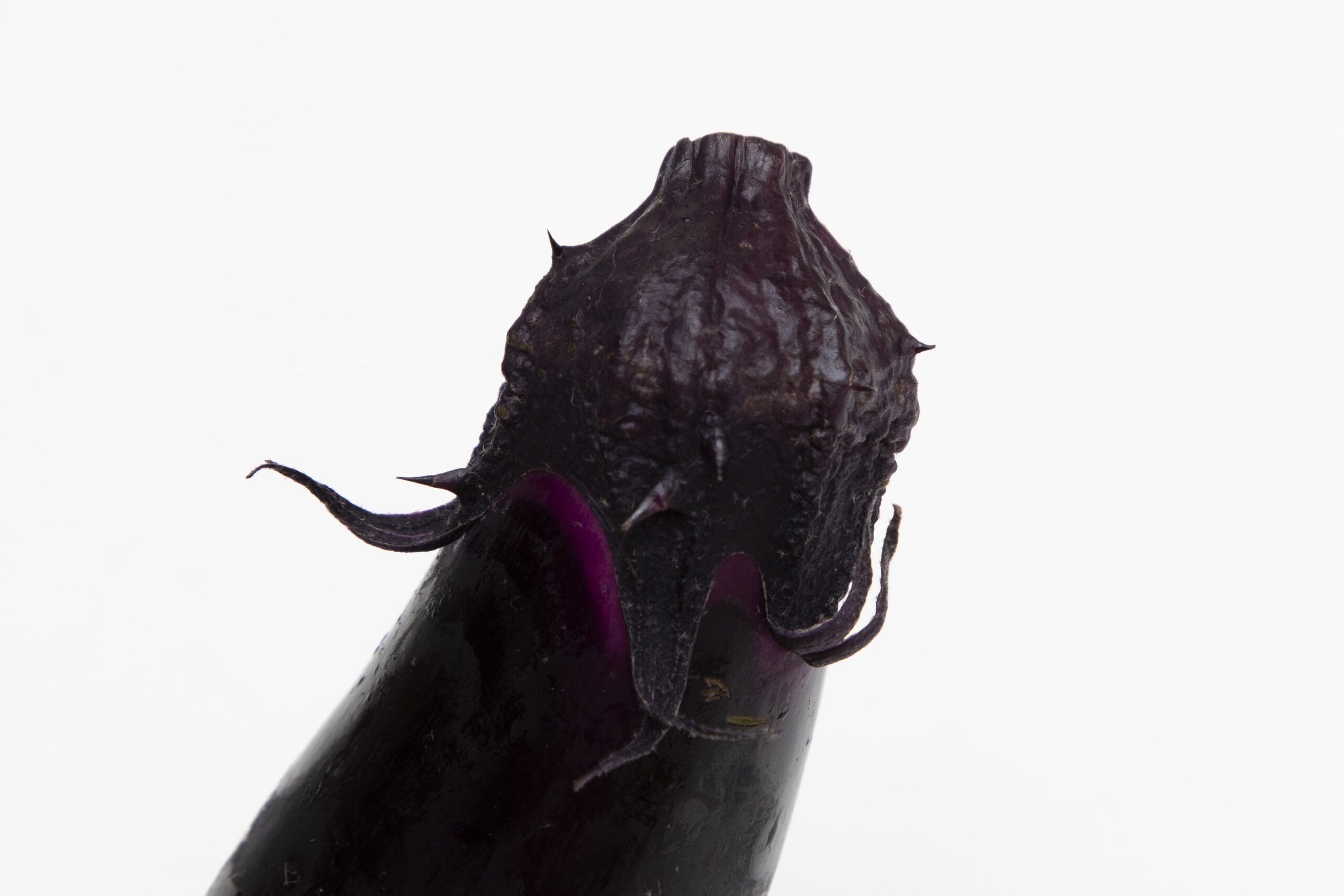 ヘタのトゲがピンとしていて、表面にハリとツヤのあるナスが新鮮な証拠