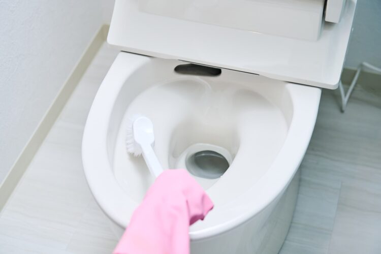便器の中をブラシでこすり洗いする