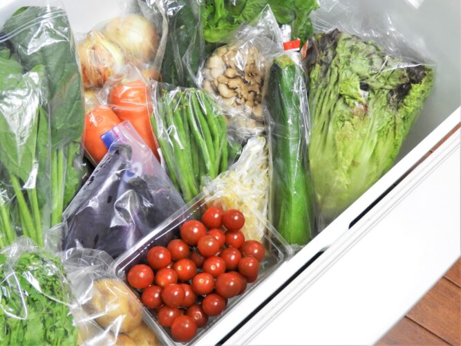 野菜室の適温は約4～8℃