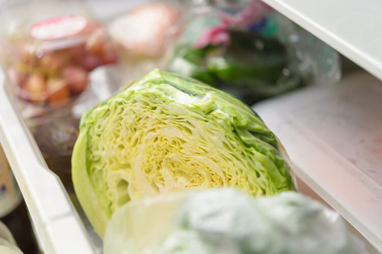 野菜室に適した食材