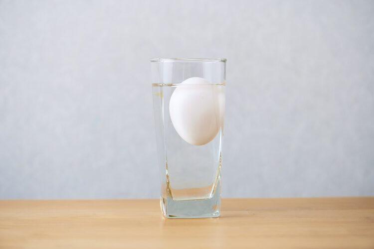 腐敗が進んだ卵は水に浮く