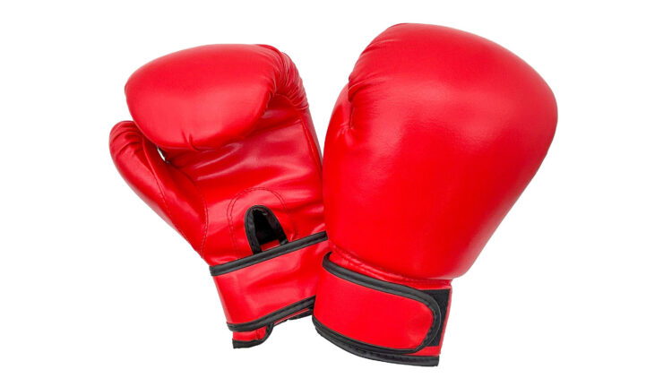 ボクシンググローブセット