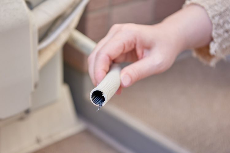 ドレンホースの汚れを取り除く