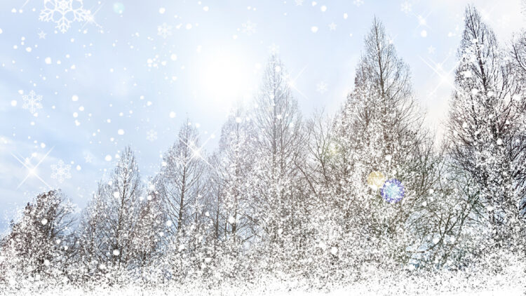 空気が澄み渡り、景色がきらめく冬のイメージ