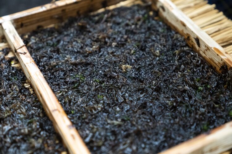海苔に含まれる主な栄養素
