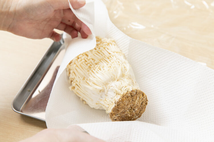 えのきを冷蔵で長持ちさせる方法