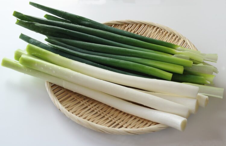 ネギの部位や種類によって、栄養に違いはある？