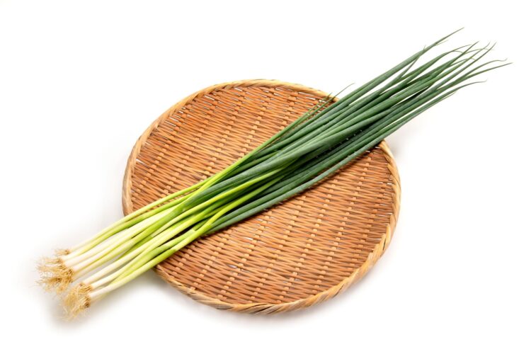 ネギの部位や種類によって、栄養に違いはある？
