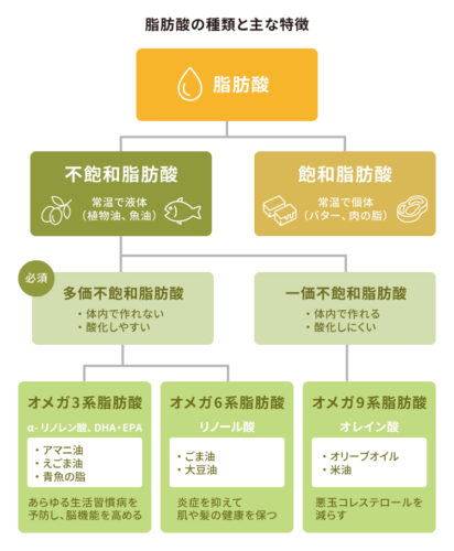 脂肪酸の種類と特徴