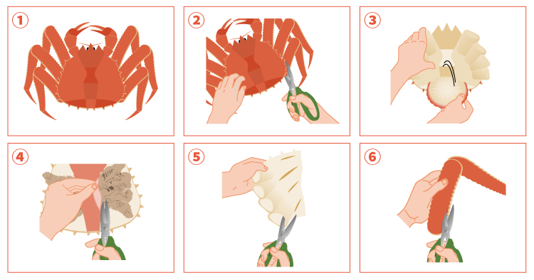 タラバガニのさばき方の解説図