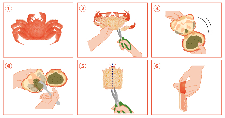 毛ガニのさばき方の解説図
