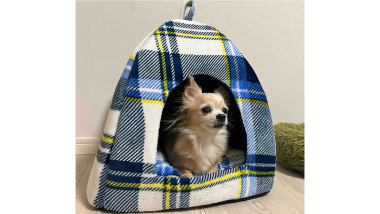 ペットハウス（ドーム型）を使用しているワンちゃん