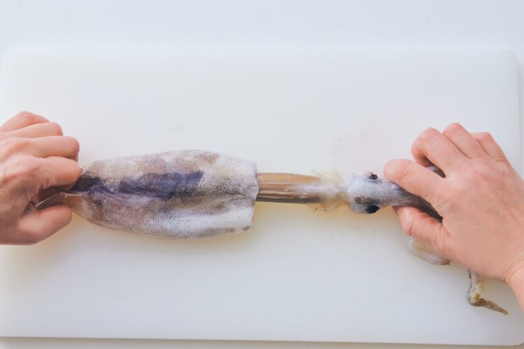 【初心者向け】イカの捌き方と刺身の切り方・盛りつけ方簡単ガイド