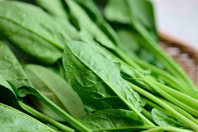 ほうれん草の栄養と期待できる効能