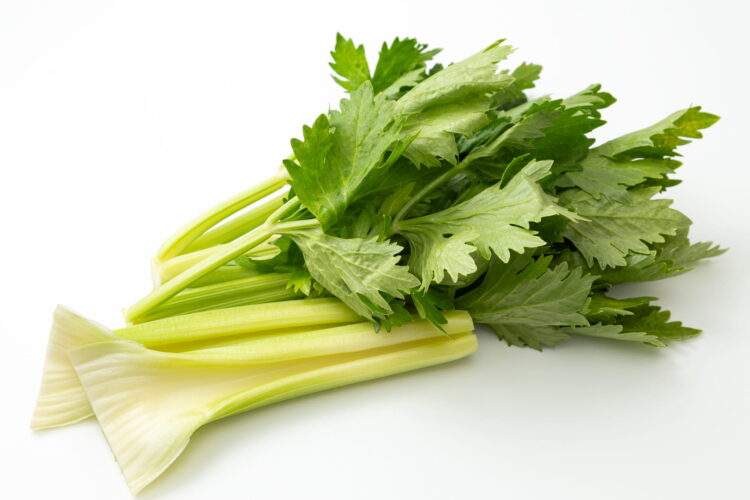 セロリの栄養と体にうれしい5つの効果