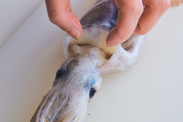 イカの胴の開口部から指を入れる