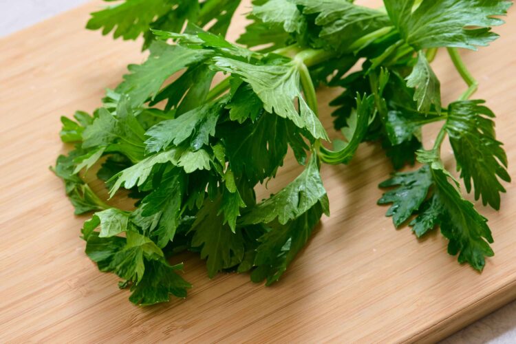 セロリの葉は抗酸化ビタミンが特に豊富