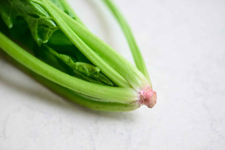 栄養が詰まったほうれん草の根元