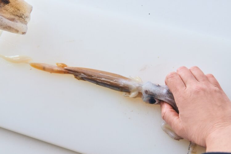 ワタと足がいっしょに出てくる