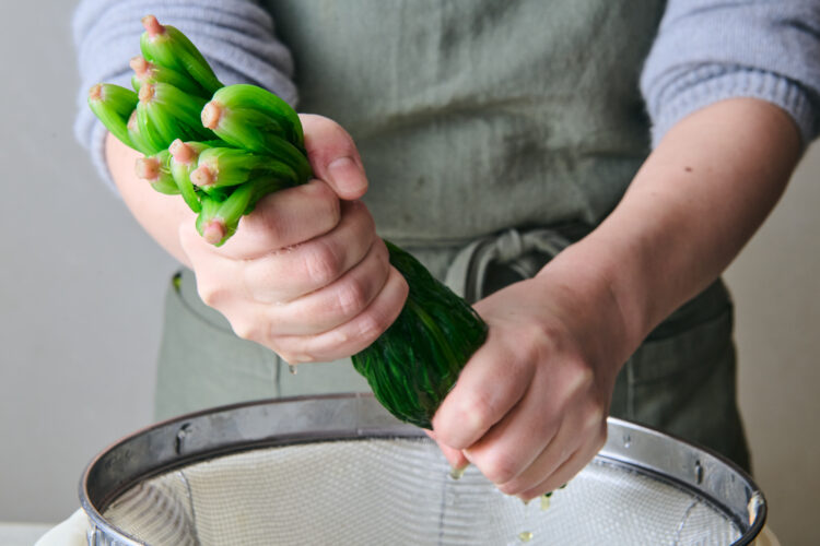 【基本】ほうれん草をゆでてから冷凍保存する方法