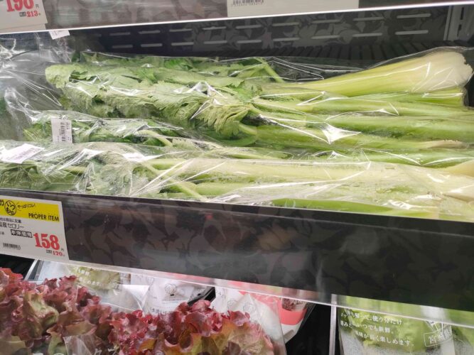セロリ売り場