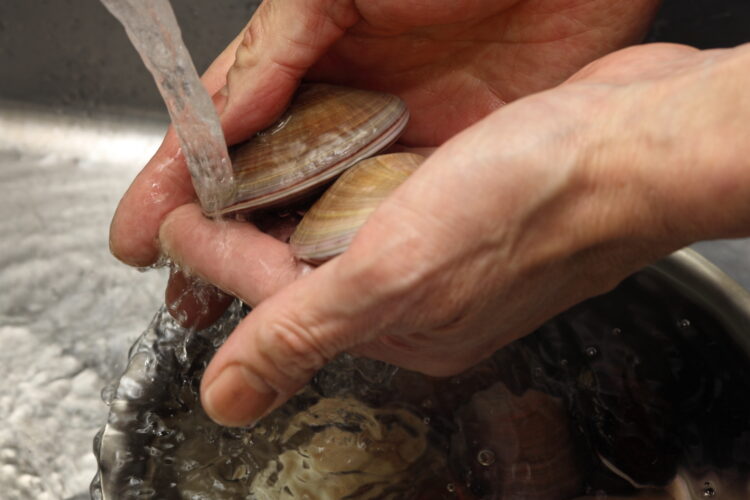 蛤を洗う