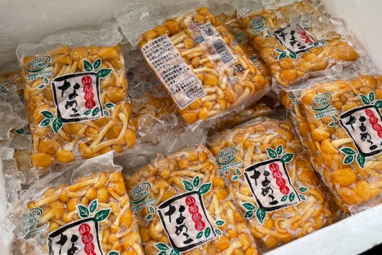 なめこの売場写真