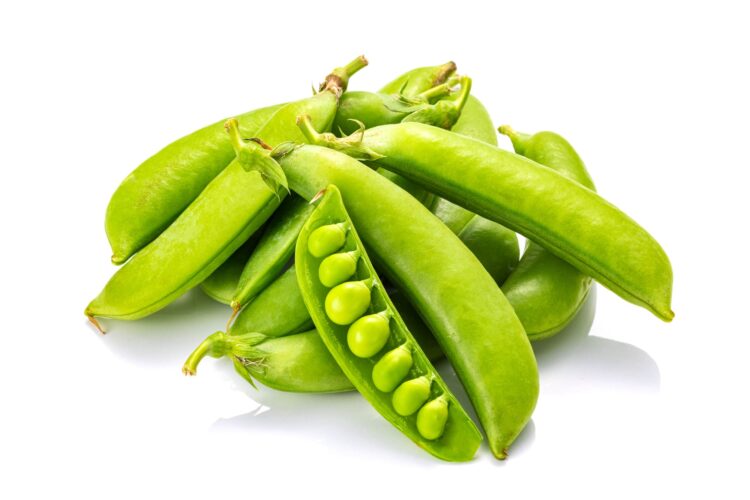 スナップエンドウの写真