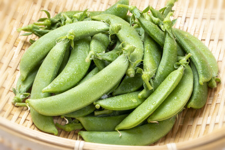 みずみずしいスナップエンドウがざるに乗った写真