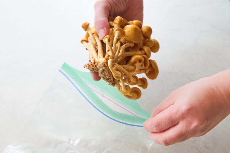 石づき付きのなめこを冷蔵保存する写真