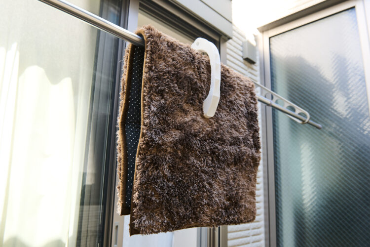 ラグ・カーペットを表で干す