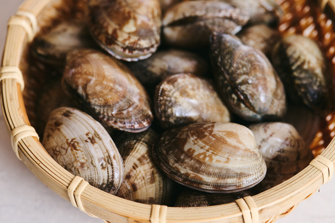 アサリの栄養はレバー級？貧血や疲労回復に効く食べ方を解説