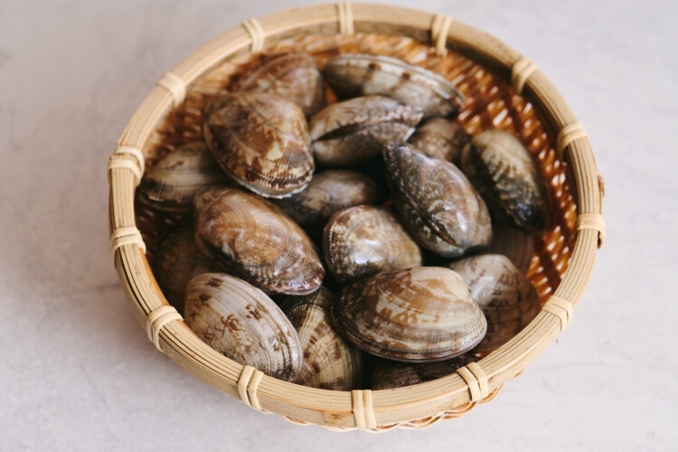 アサリに含まれる主要な栄養素