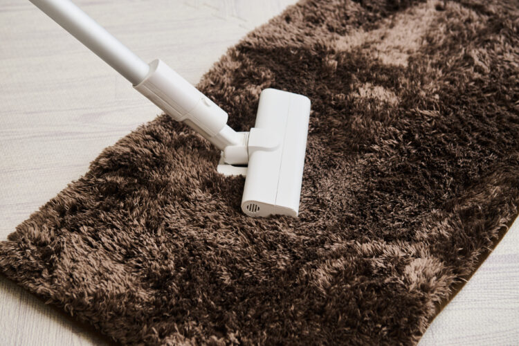 カーペット・ラグを洗濯する前の準備