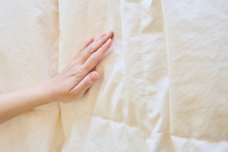 取り込むときは叩かず、手でやさしく払う