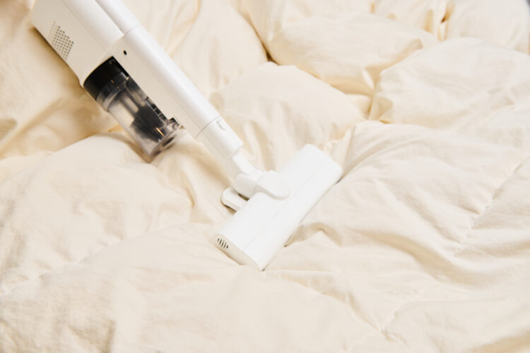 掃除機をかけてダニ対策をする