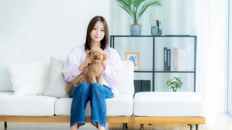 部屋で過ごすペット