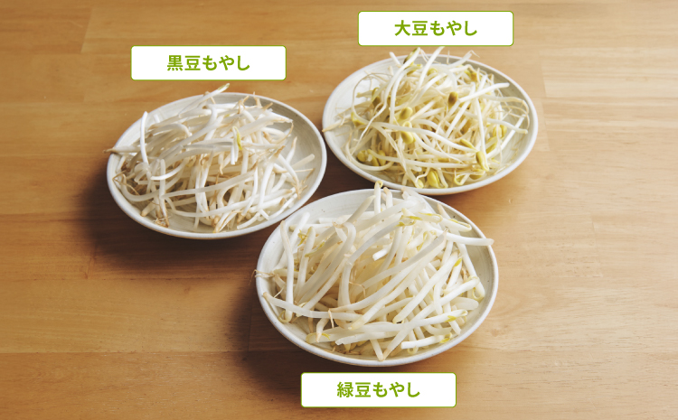 もやし3種類を並べた図