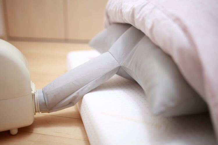 ダニ対策の頻度