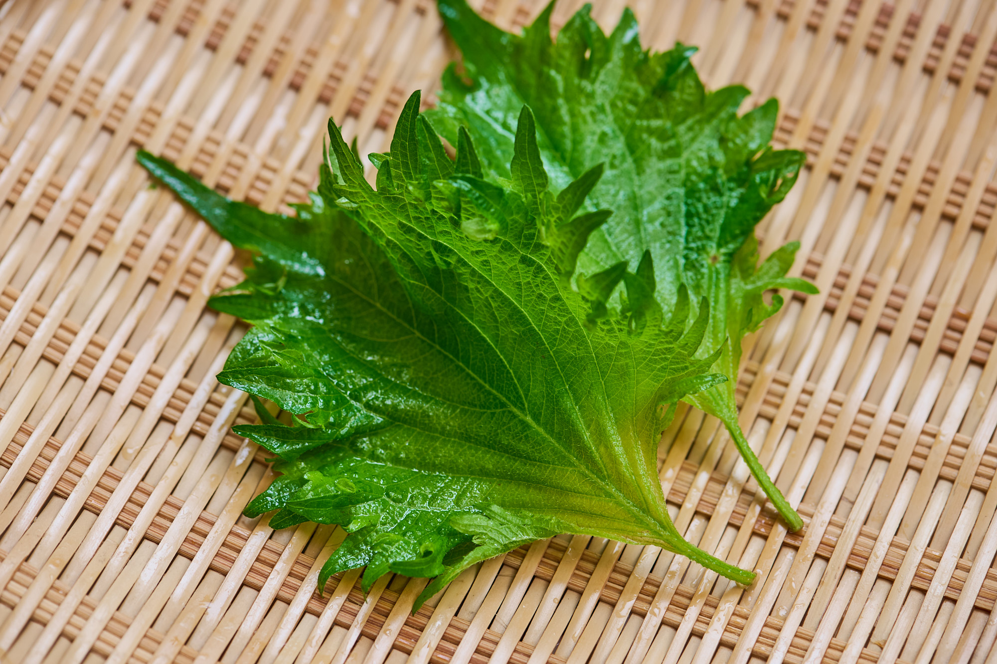 大葉の栄養