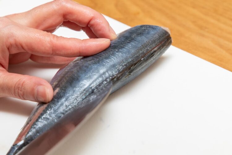 アジの背びれに沿って包丁を入れ、上下ともガイドラインを作る