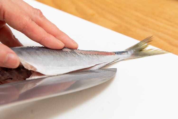 アジの腹側から包丁を入れて中骨まで切り進める
