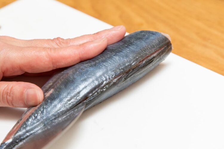 アジの背側からも同様に切り込みを入れる