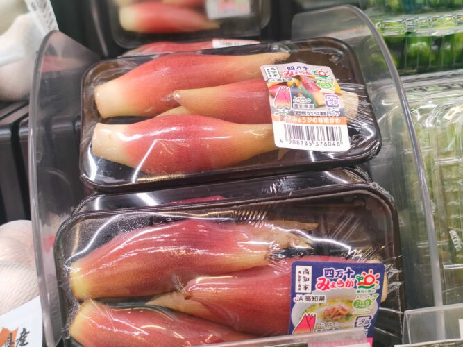 ミョウガ売り場