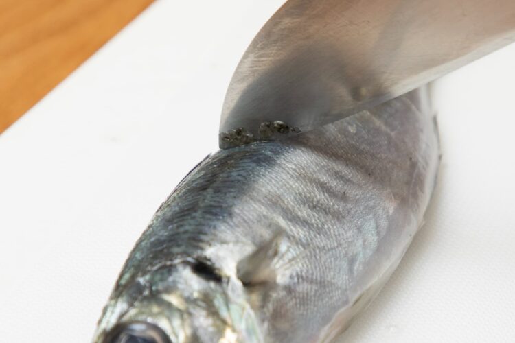 アジのうろこは尾から頭に向かって軽くなでるようにそぐ