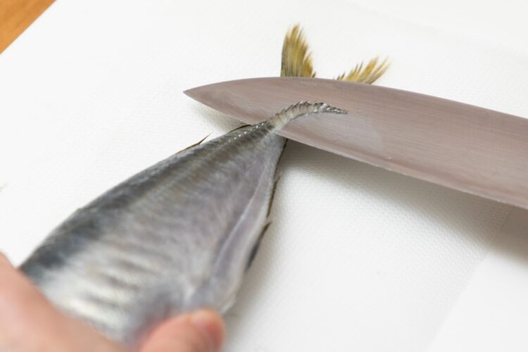 アジの魚は身をつぶさないよう、上と下でそっと持つ