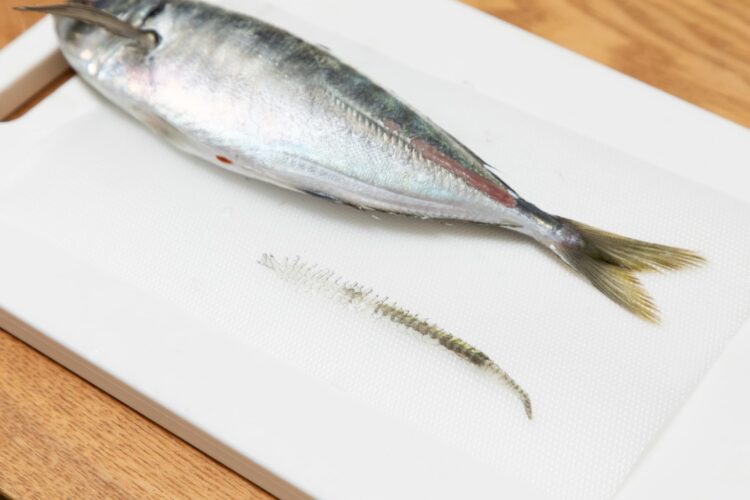 アジのぜいごは包丁の刃を上に向け、包丁を前後にスライドさせ尾から頭へそぐ