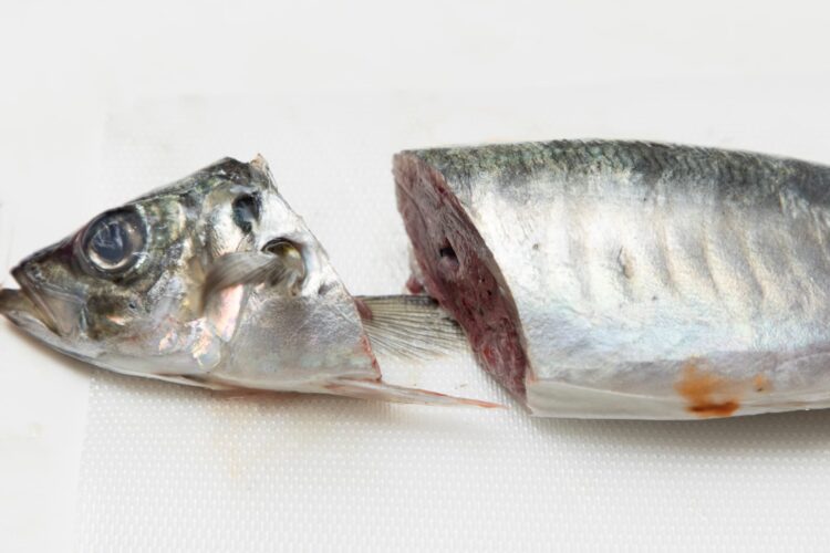 アジのむなびれの付け根の後ろに包丁を入れ、頭を落とす