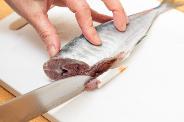 アジの腹の下側から浅く切り込みを入れる
