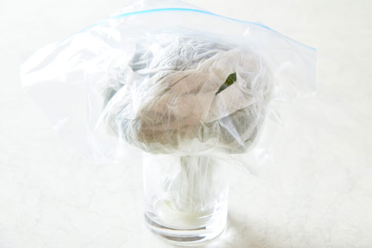グラスなどを使って、ポリ袋ごと立てた状態で野菜室へ入れる。